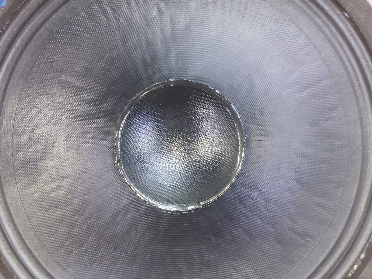How the Derwel 12DE600 Improves Professional Speaker Cabinet Performance 6 Derwel 12DE600 naked speaker Kenya