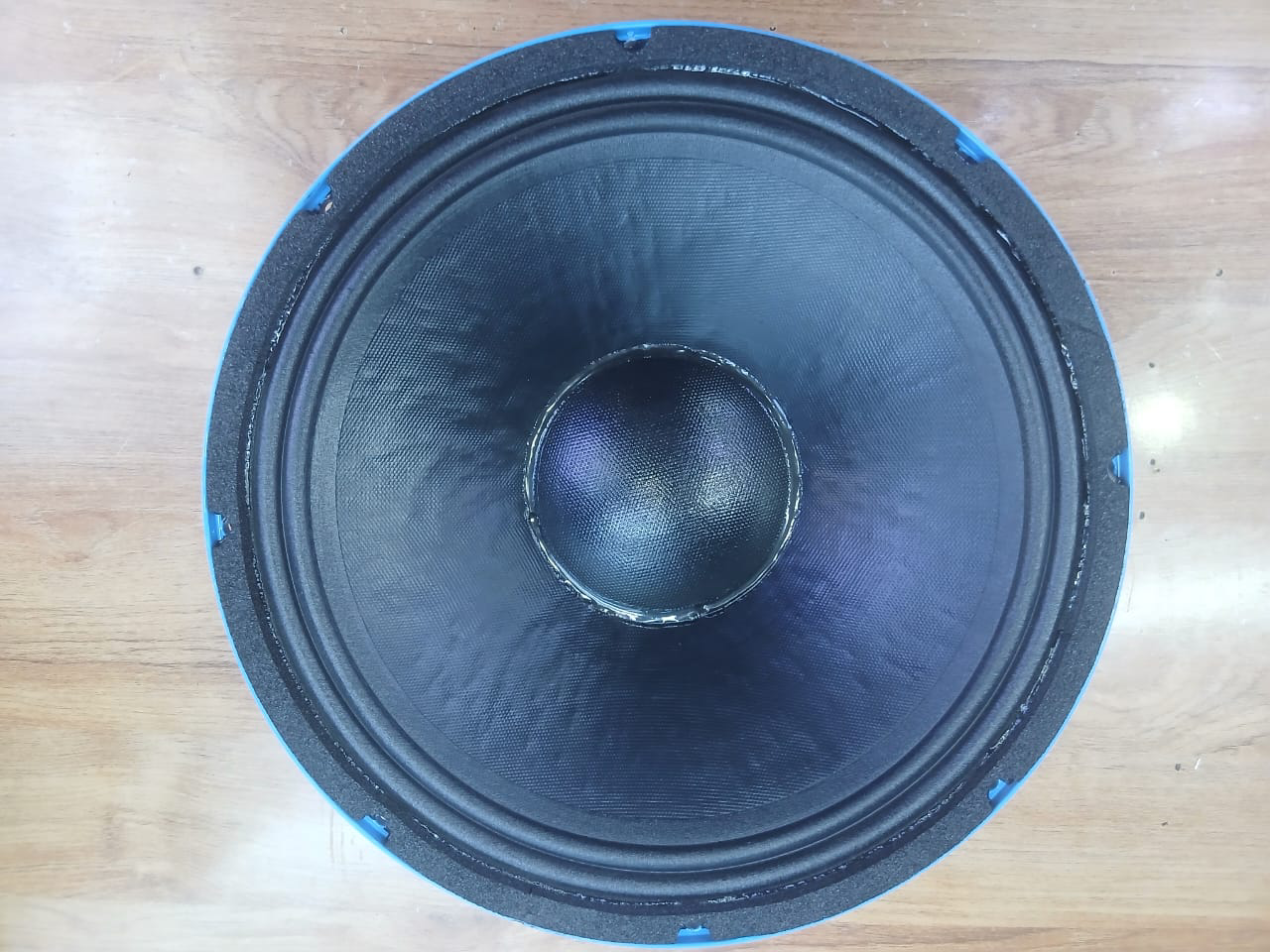 Derwel 12DE600 Professional Naked Speaker for Reliable PA Performance 8 Derwel 12DE600 professional speaker driver
