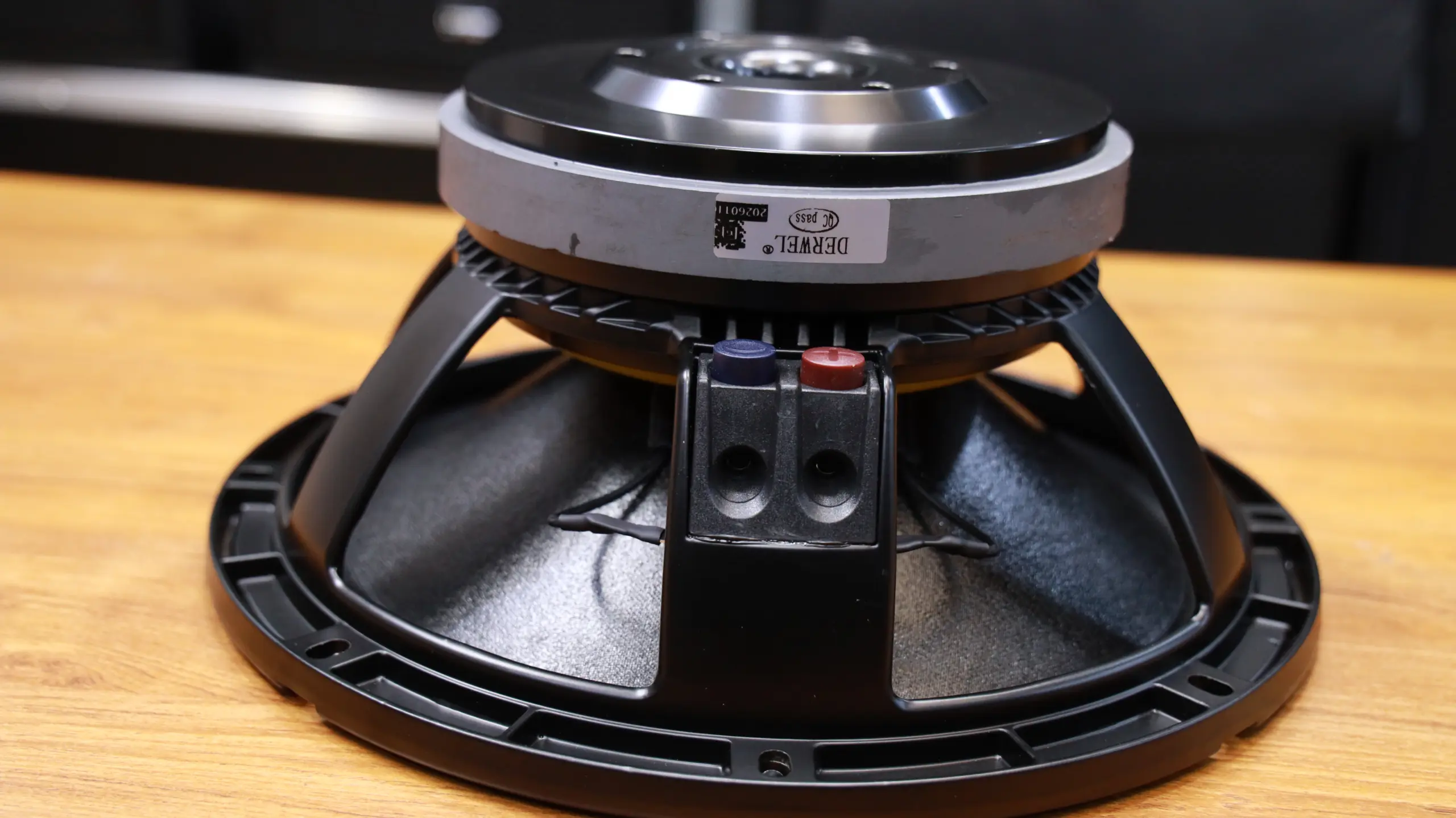 Derwel Precision 12WK301 12-Inch Low Frequency Transducer for Professional Sound Systems 7 Derwel 12WK301 Kenya