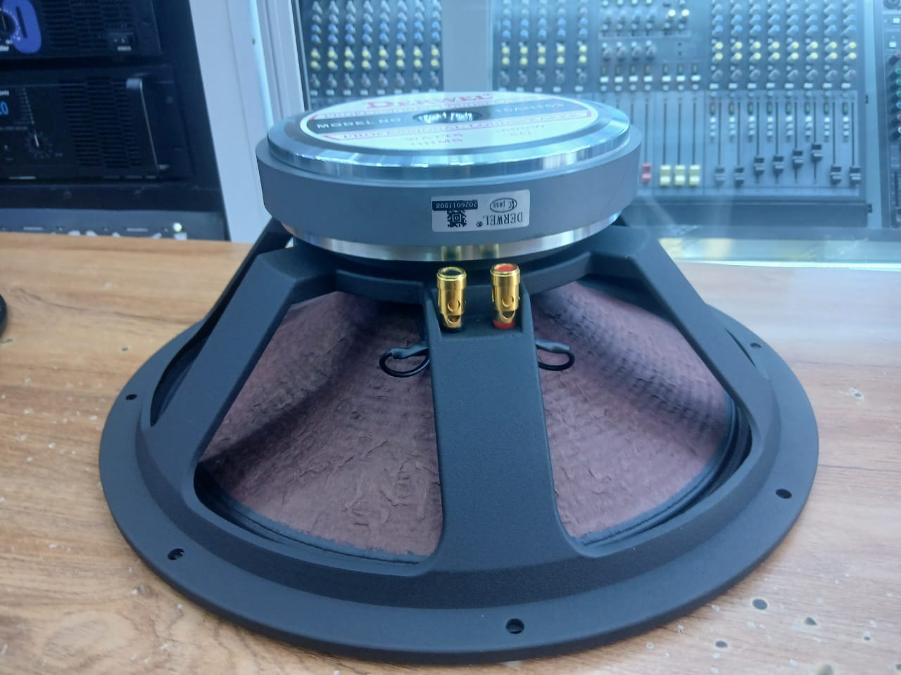 Derwel 15AH153 Professional Loudspeaker: A Reliable 15-Inch Driver for PA Speaker Upgrades 9 Derwel 15 Inch Woofer