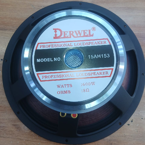 Derwel 15AH153 Professional Loudspeaker: A Reliable 15-Inch Driver for PA Speaker Upgrades 6 Derwel 15AH153 Professional Loudspeaker