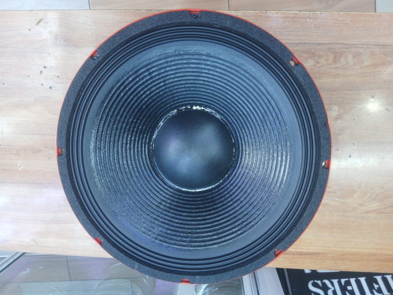 15DX100F Professional Loudspeaker