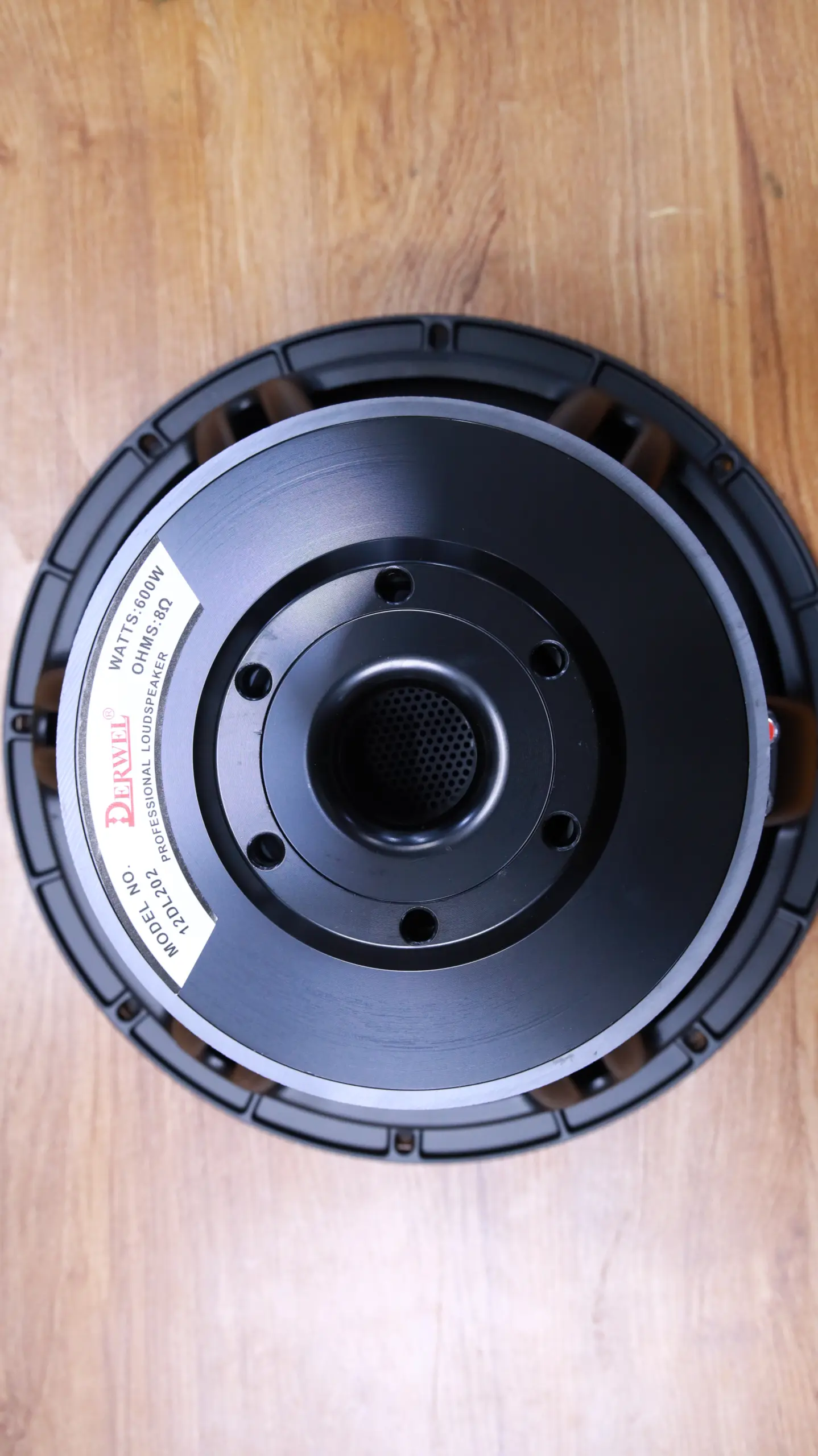 Why the Derwel 12DL202 Is a Dependable 12-Inch Speaker Driver for Sound System Upgrades 9 Derwel 12DL202 8 Ohms Speaker