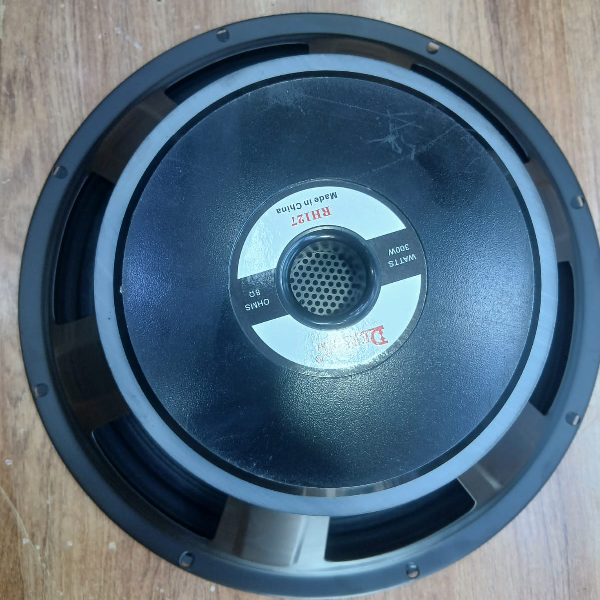 Why the Derwel RH127 12-Inch Naked Speaker Is a Smart Choice for Professional Audio Systems 6 Derwel RH127 12-Inch Naked Speaker