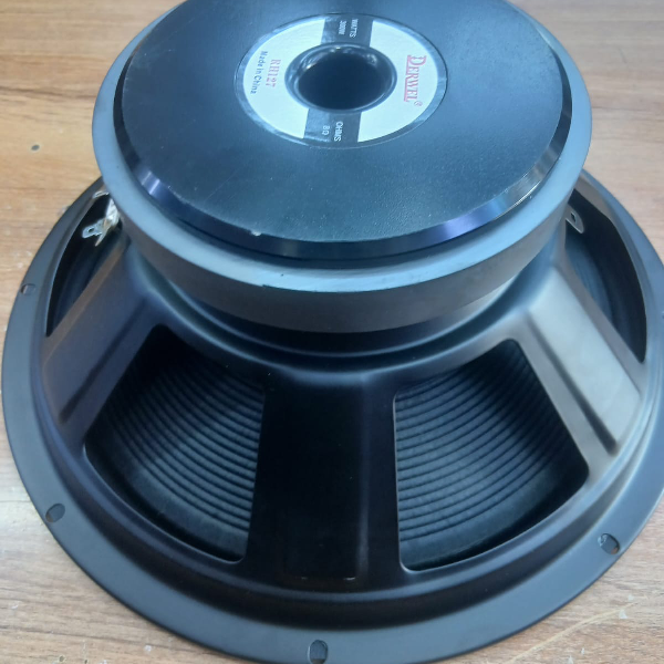 12-Inch Speaker Driver