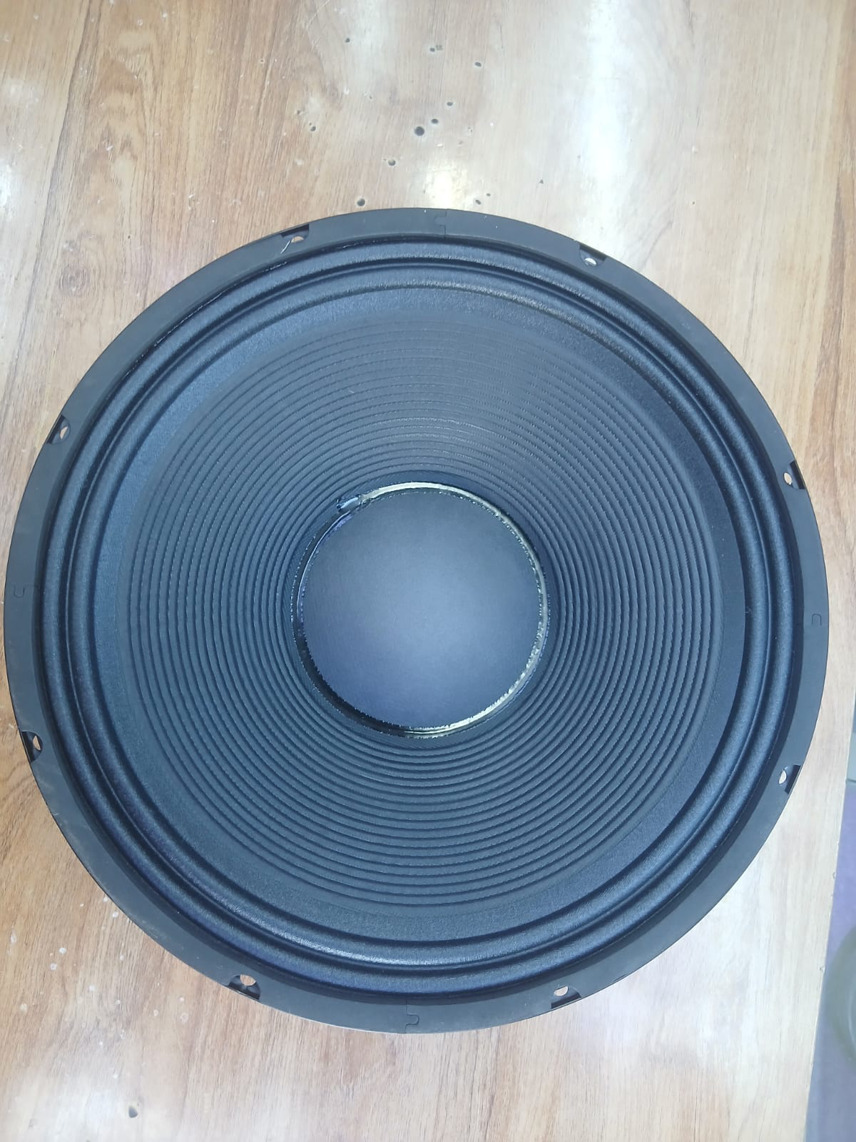 Why the Derwel RH127 12-Inch Naked Speaker Is a Smart Choice for Professional Audio Systems 7 Derwel Professional Speaker