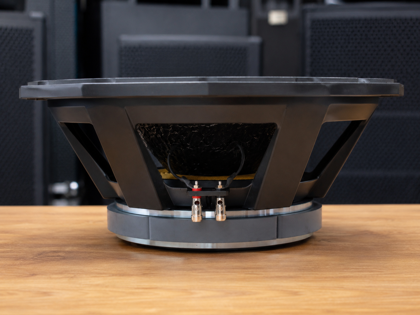 Derwel PD1850 Professional Speaker: A Powerful Choice for Serious Sound Systems 29 Derwel professional speaker