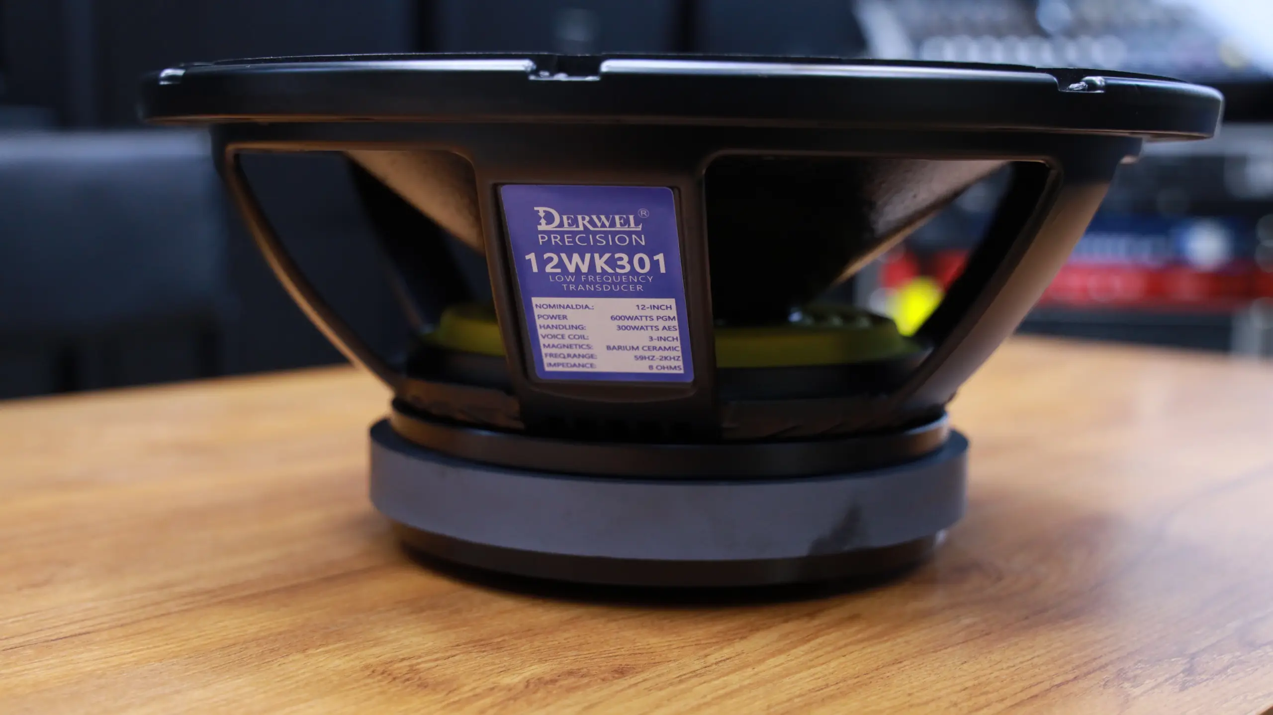 Derwel Precision 12WK301 12-Inch Low Frequency Transducer for Professional Sound Systems 9 Derwel woofer Kenya