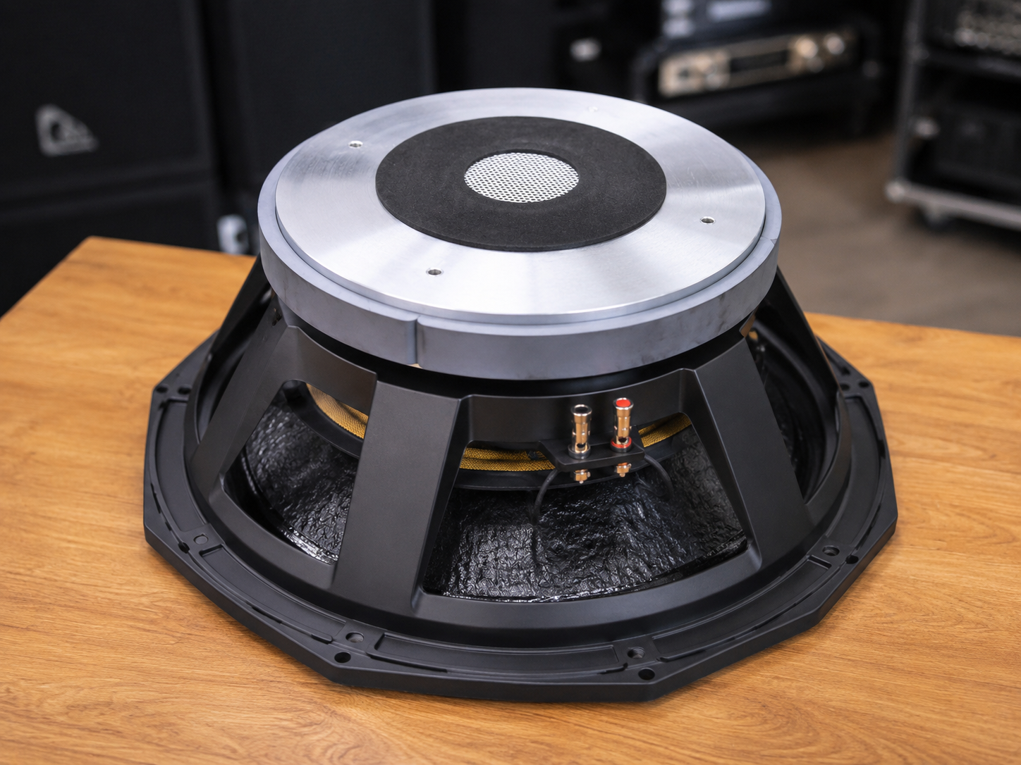 Derwel PD1850 Professional Speaker: A Powerful Choice for Serious Sound Systems 31 Derwel woofer Kenya
