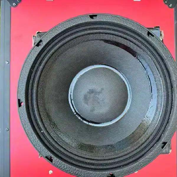 NR 10WF335 Naked Speaker Buying Guide for Custom PA Systems in Kenya 14 NR 10WF335 Naked Speaker price in Kenya