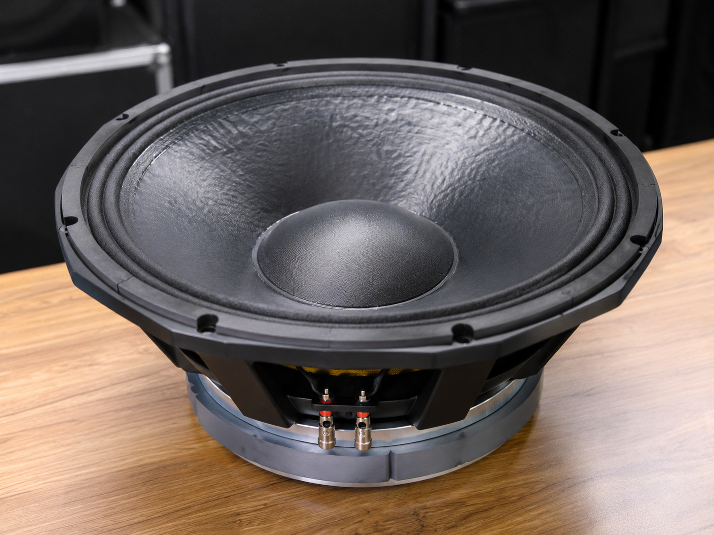 Derwel PD1850 Professional Speaker: A Powerful Choice for Serious Sound Systems 33 PD1850 speaker Kenya