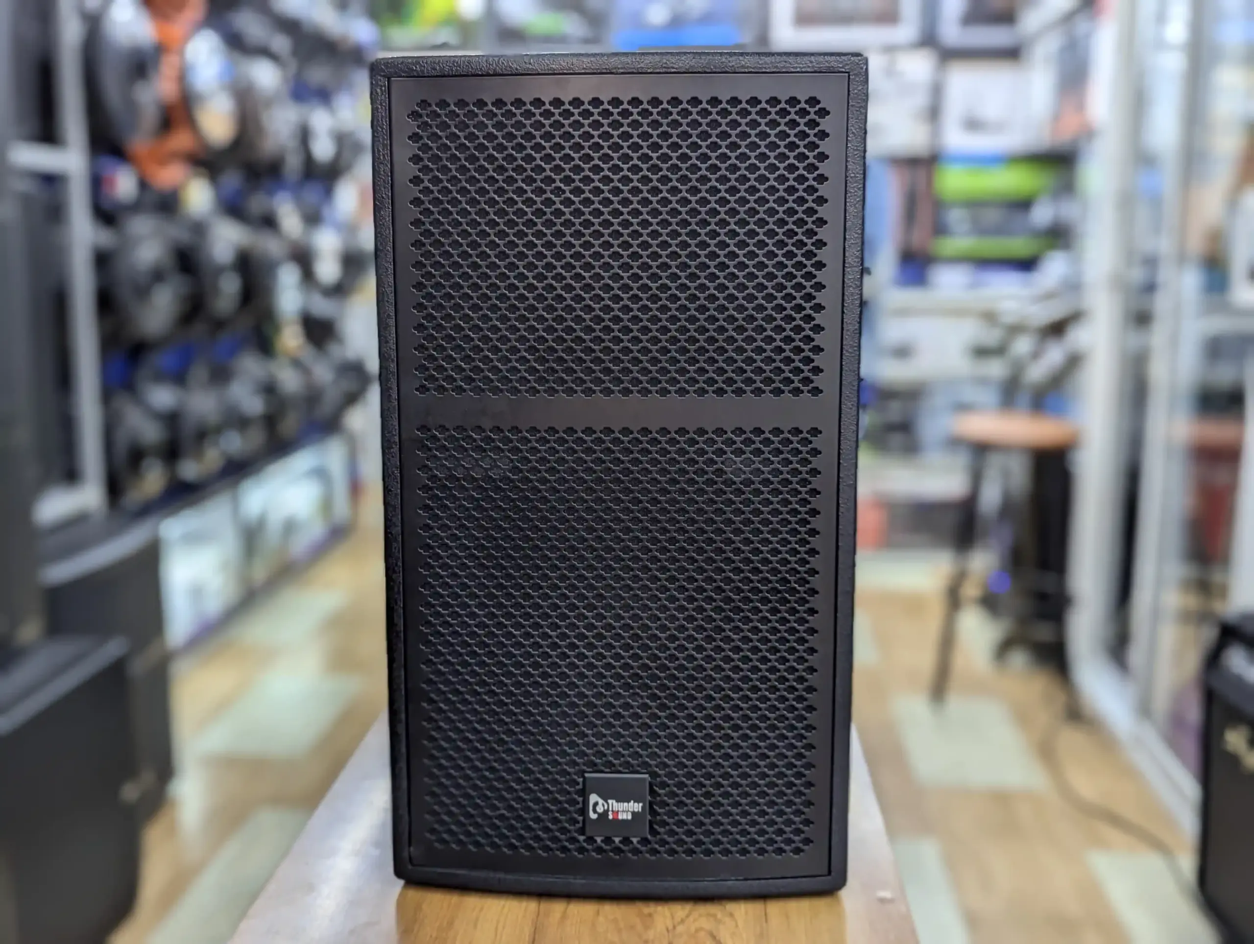 Thunder Sound TS 112 Speaker – Reliable 12 Inch Speaker for Clear Vocals, DJ Music and Church Sound 7 Thunder Sound TS 112 live sound speaker