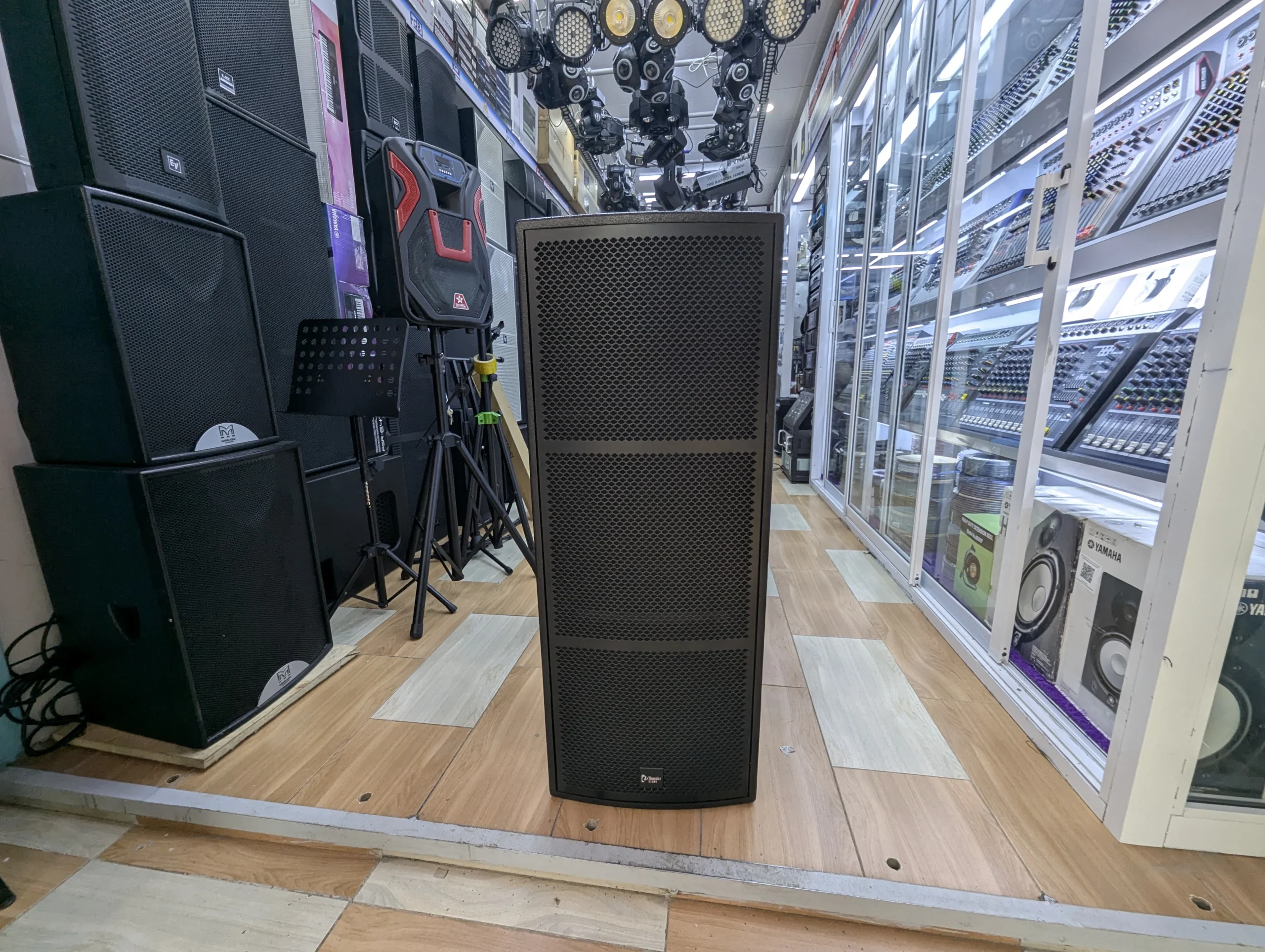 Thunder Sound TS 215 Speaker for Churches, DJs and Live Events 17 Thunder Sound TS 215 loudspeaker