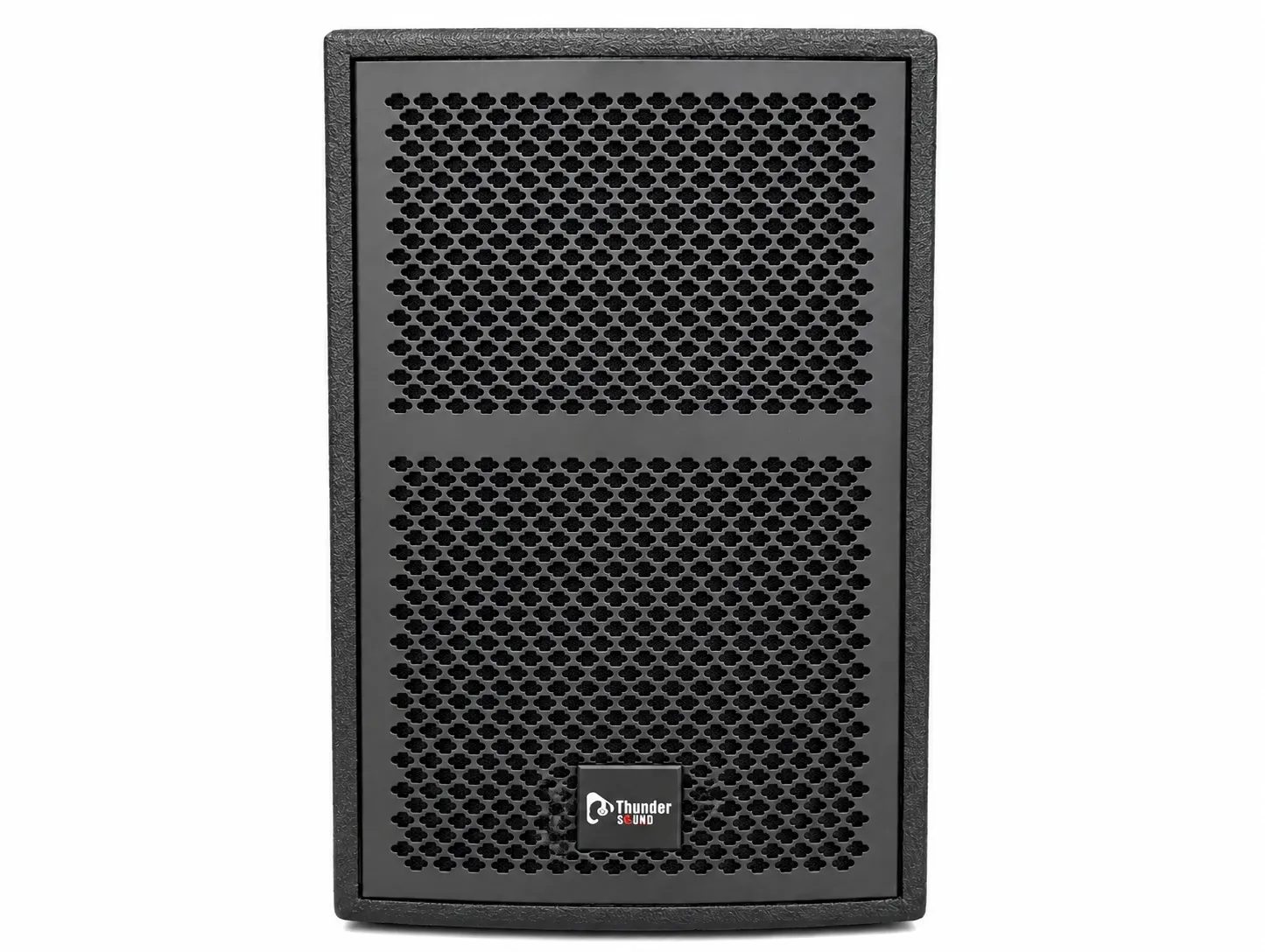 Thunder Sound TS110 2-Way Full-Range Loudspeaker System – Compact PA Speaker for Clear Speech and Music 9 Thunder Sound TS110 speaker