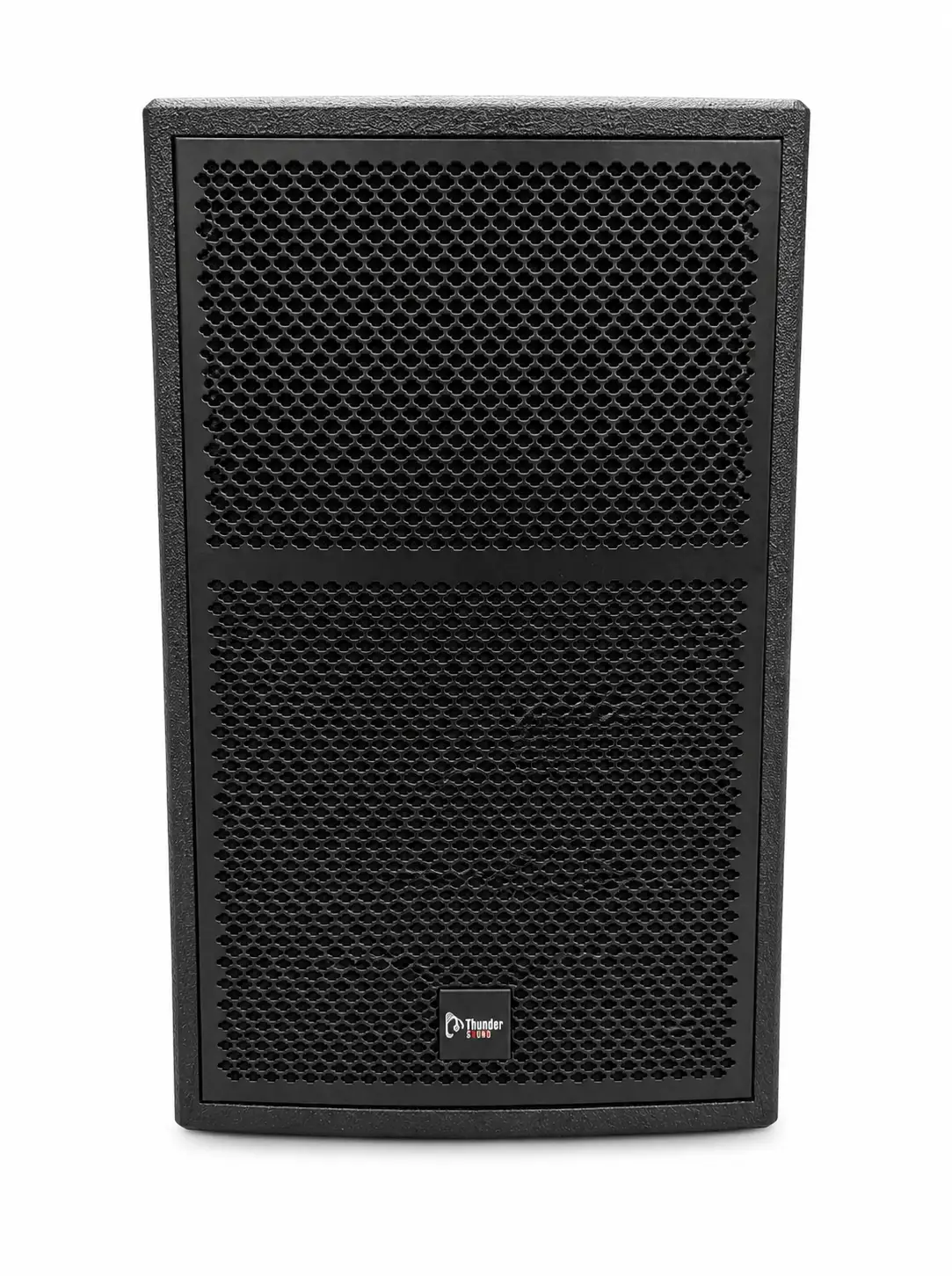 Thunder Sound TS115 Passive Speaker – Reliable 15-Inch PA Speaker for Halls, Churches, DJs and Rental Sound 7 Thunder Sound TS115 for halls