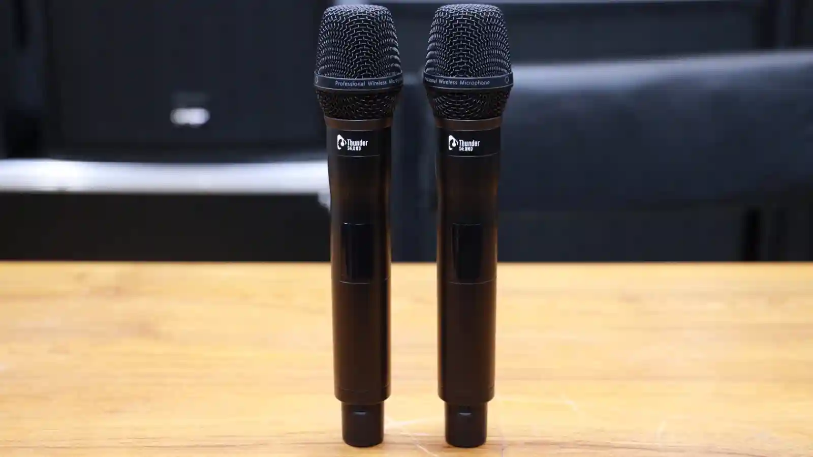 Thunder Sound TS200A Dual-Channel UHF Wireless Microphone System – Reliable Two-Mic Set for Churches, Schools and Events 8 Thunder Sound TS200A wireless microphone