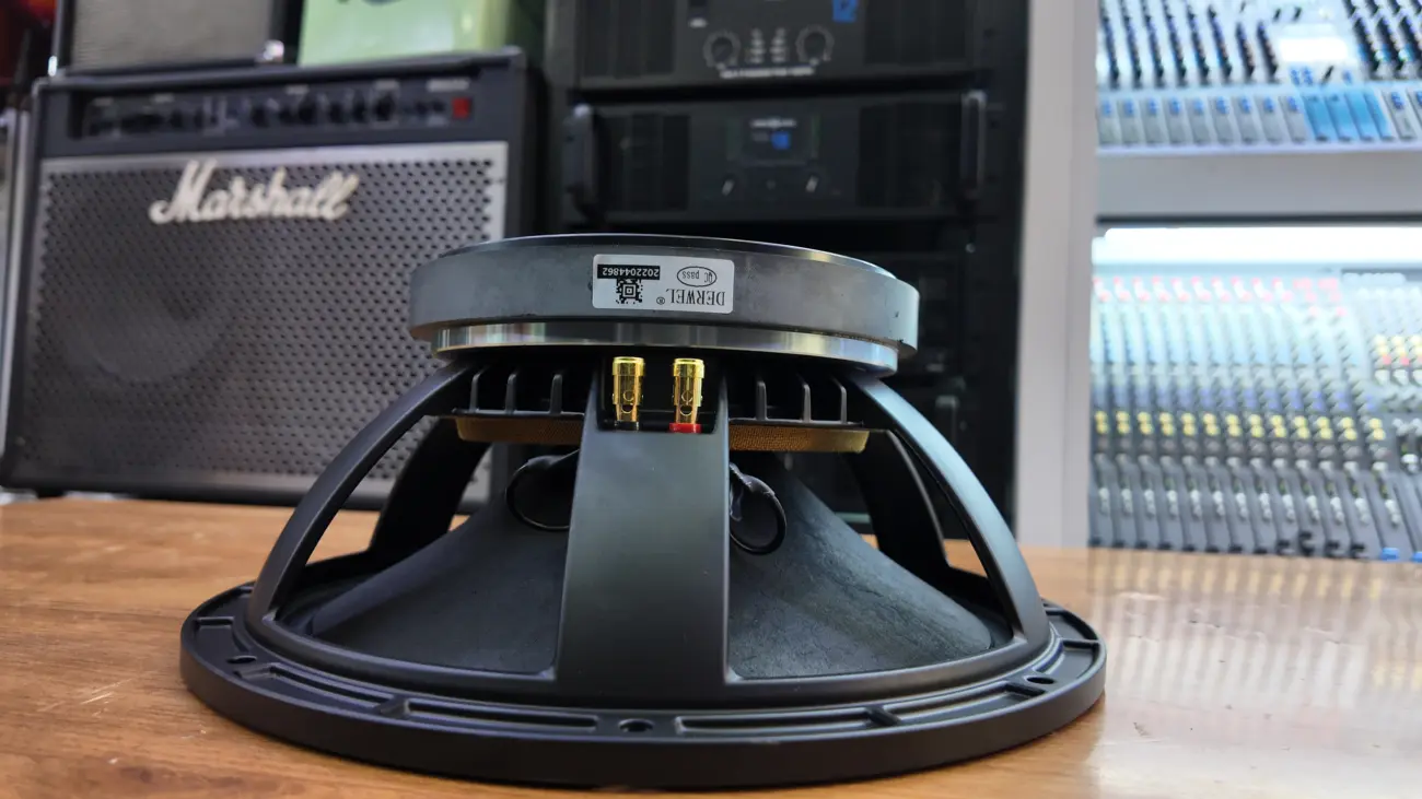 Derwel speaker 600W